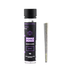 DANK - Dank: Purple Punch 1g Pre-Roll