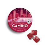 Kiva Camino Gummies Wild Cherry