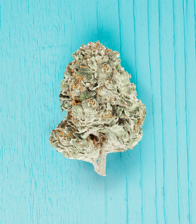 REVELRY - Revelry - Strawberry Smoothie - 3.5g Pouch Main Image