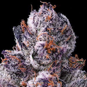 Maven - [Maven] Indoor Flower - 1g - Chrome Dome (S)