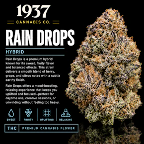 1937 | 3.5g Mylar | Rain Drops