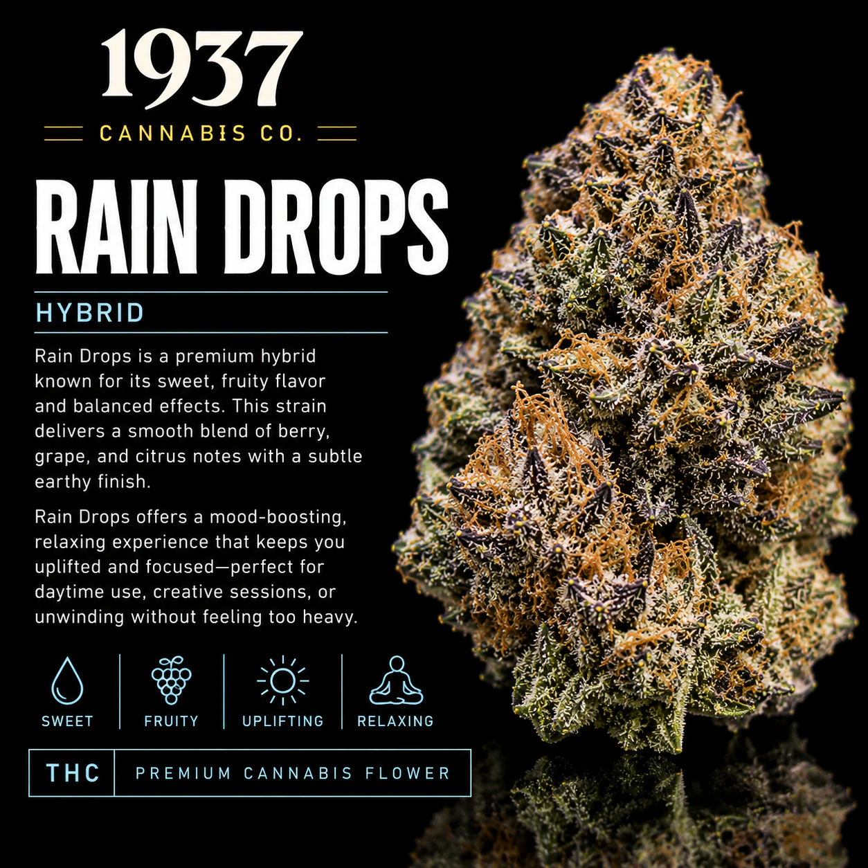 1937 - 1937 | 3.5g Mylar | Rain Drops Main Image
