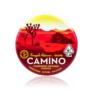 CAMINO - CAMINO - Edible - Pineapple Habanero - Gummies - 100MG