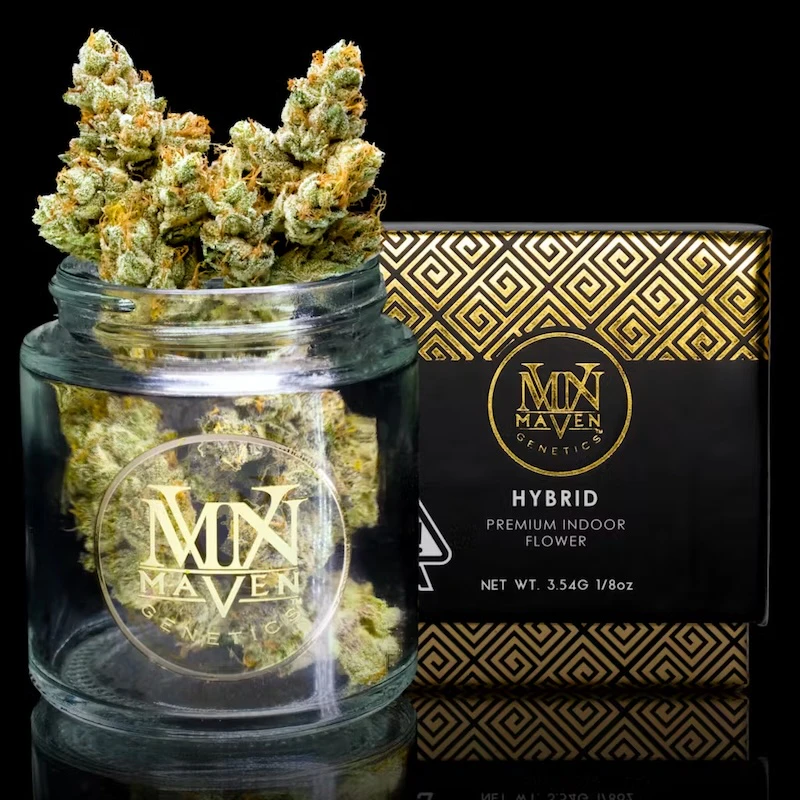 Maven Genetics - SFV OG - 3.5g (H) - Maven Main Image