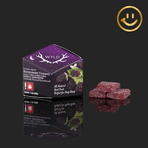 WYLD | Boysenberry 1:1:1 THC/CBD/CBN Gummies | 10pcs