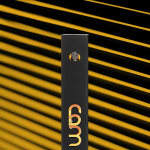 CAM -  AIO - La Paleta - 1g (IH) - CAM