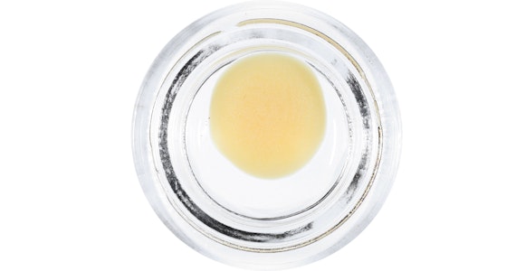 Punch Extracts - Punch Extracts - Gas Factory BHO Badder - 1g