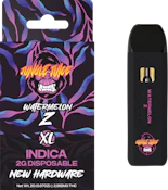 Watermelon Z 2g Disposable 