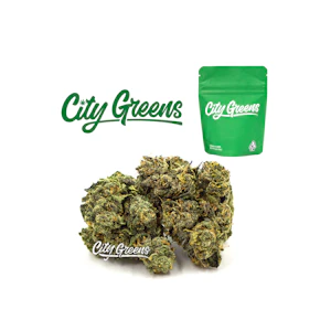 City Greens - City Greens - Mint Gelato Chip - 1/8th