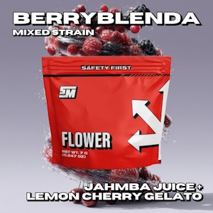 SAFETY MEETING - Safety Meeting | Mixed Buds | Berryblenda | 7g