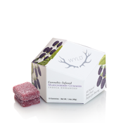 Marionberry 10pk Gummies - 100mg