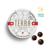 Terra Dark Chocolate Peppermint Pattie Bites [20 ct]