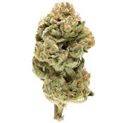 Incognito OG 7g