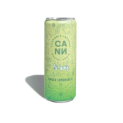 Cann - Hi Boys - Ginger Lemongrass - 4pk