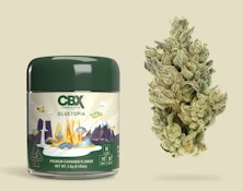 Gluetopia 3.5g Jar - CBX