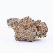 Sea Star - 3.5g (I) - Pure Beauty