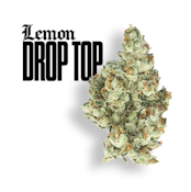 Claybourne Co. - Lemon Drop Top Gold Cuts  3.5g