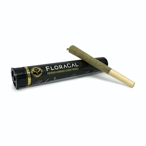 FloraCal - 1g Super Lemon Haze Pre-Roll - Floracal