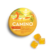 MANGO SERENITY CBD 1:1 - 1 Pack