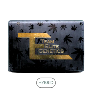 TEAM ELITE GENETICS - Team Elite Genetics - Garbage Island - Flower - 3.5g