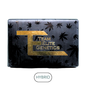 TEAM ELITE GENETICS - Team Elite Genetics - White Bronco - Flower - 3.5g