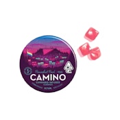 Passionfruit Punch Proud Camino Gummies | 100mg | KVC