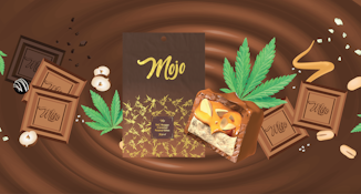 Mojo Chocolates | Double Fudge Truffle | 200mg