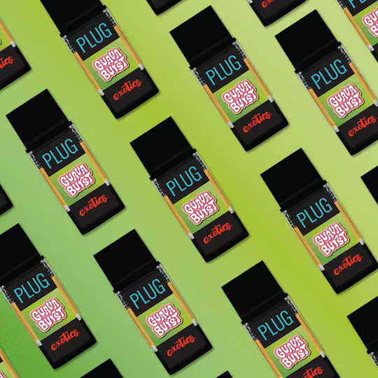 PLUGPLAY™ - 1g Guava Burst / Exotics / PLUGplay Main Image