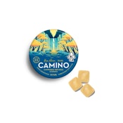 Yuzu Lemon (Balance) (H) | Camino Gummies 1:1 100mg THC:100mg CBD  | Camino