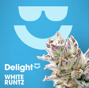 Delight - [REC] Delight | White Runtz | 3.5g Flower