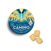 Camino - Yuzu Lemon CBD Gummies 1:1 100mg