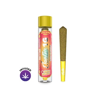 JEETER - Jeeter - 1g Infused Preroll - Maui Wowie