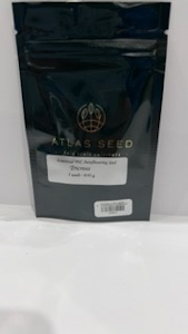 TriCross 5 pack seeds - Atlas Seeds