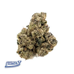 Traditional - Traditional - Game 7 3.5g