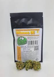 Eighth Brother - Eighth Brother Mimosa Flower (S) 3.5g Main Image