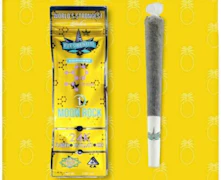 Presidential Infused Preroll 1g 24K 