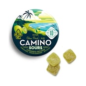Citrus Punch | Camino Sours Gummies 100mg | Kiva
