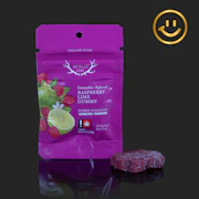 WYLD ONES | Raspberry Lime Gummy 1:1 THC+CBD | single 