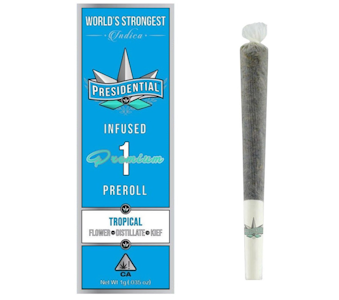 PRESIDENTIAL - Presidential - Tropical Preroll 1g