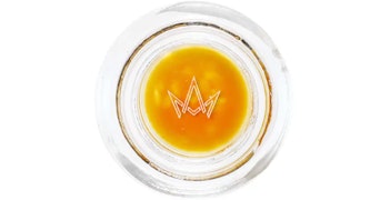 Humboldt Terp Council - Jack Herer Live Resin - 1g