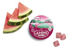 Camino Sours :Watermelon Spritz 100mg (S)