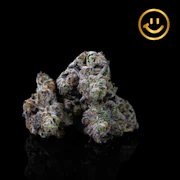 LUVLI | Leftovers #11 | indoor flower