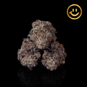 LUVLI | Grandma's Gun Chest | indoor flower