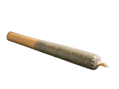 Dirty Secret Preroll 1g