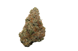 ROBUST - RASPBERRY PARFAIT 3.5 GRAMS
