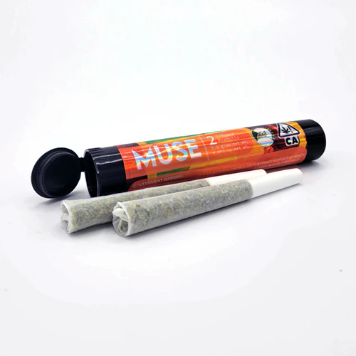 Dolo Rolling Co. - Pineapple Wonder x Burmese Bananaberry - 2 pack Infused Preroll  (1.5g) Main Image