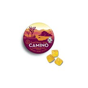 Kiva Confections - Camino | Pineapple Habanero | Uplifting | Gummies | 20pk | 100mg 