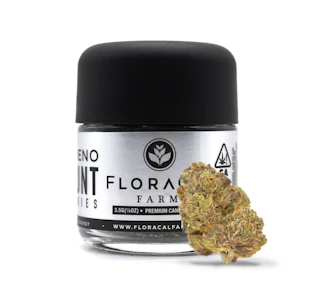 FloraCal - FloraCal - Gastro Pop - 3.5g Flower