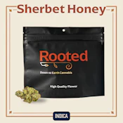 Rooted | 1oz Flower | Sherbet Honey | 28g