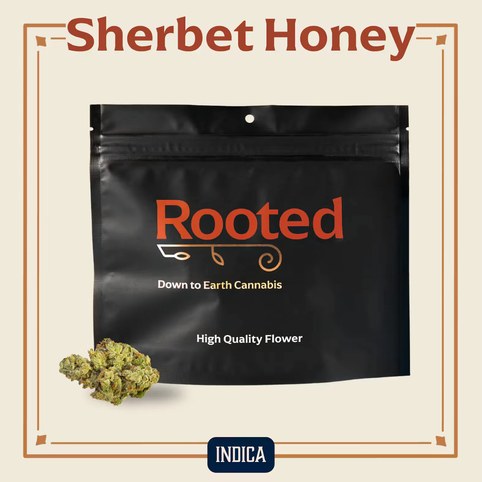 Rooted - Rooted | 1oz Flower | Sherbet Honey | 28g Main Image